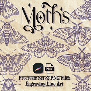 15 Motten Stempel für Procreate & PNG - Handgezeichnete, gravierte Insekten für Tattoo oder Print Design