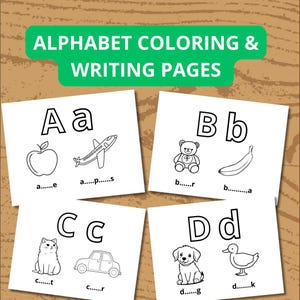 Può includere: Pagine da colorare e scrivere dell'alfabeto. Quattro schede bianche con le lettere A, B, C e D, ciascuna con lettere maiuscole e minuscole e immagini corrispondenti: mela, aereo, orsacchiotto, banana, gatto, auto, cane e anatra.
