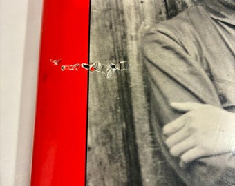 The Chinese Century A Photographic History of the Last 100 Years