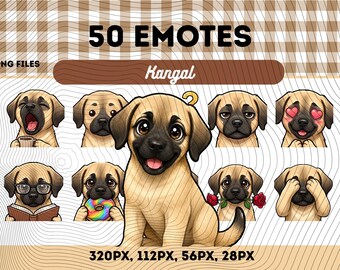 Kangal hund-emotespaket 50, Chibi Kawaii turkisk Kangal PNG för streamers, omedelbar nedladdning