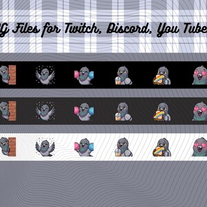 May include: A digital collection of six pigeon character icons displayed in three rows against black, dark gray, and white backgrounds. The text PNG Files for Twitch, Discord, You Tube... appears at the top. The icons show a pigeon peeking, flying, cheering with pom-poms, drinking, eating rainbow toast, and showing heart eyes.