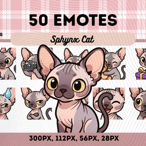 Könnte beinhalten: Eine digitale Grafik mit 50 Sphynx-Katzen-Emotes in verschiedenen Posen und Ausdrücken. Die Emotes im PNG-Dateiformat zeigen eine Katze mit Geburtstagskuchen, eine Katze mit Kamera und eine Katze mit Geschenk. Das Bild enthält auch den Text "50 Emotes" und "Sphynx Cat".