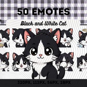 Könnte beinhalten: Eine digitale Sammlung von 50 Emotes, die eine schwarz-weiße Katze mit verschiedenen Ausdrücken und Posen zeigen. Der Text 50 EMOTES, PNG FILES und Black and White Cat ist sichtbar. Die Katze hat große Augen, rosa Ohren und einen weißen Fleck.