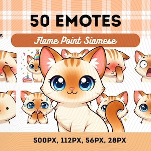 Flame Point Siamese Cat Emotes Pack 50, Kawaii Cream Ginger Cat Cute Chibi Animal Stream Emotes PNG VTuber, Streamers, Instant Download