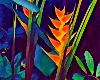 Tropische tuinen van St. Lucia