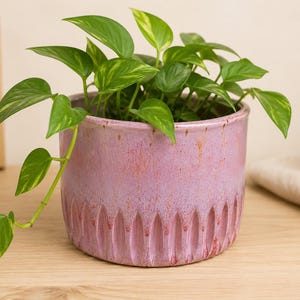 May include: A cylindrical ceramic plant pot in a mottled lavender and pink glaze with vertical fluted detailing around the base. A trailing pothos plant with variegated green and yellow heart-shaped leaves grows from the top of the container.