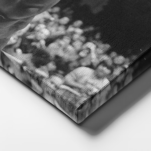 May include: Black and white canvas print featuring a blurred image of a natural scene. The canvas has a textured surface and is stretched over a wooden frame. The image is a close-up view of the corner of the canvas.