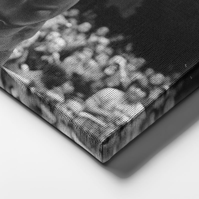 May include: Black and white canvas print featuring a blurred image of a natural scene. The canvas has a textured surface and is stretched over a wooden frame. The image is a close-up view of the corner of the canvas.