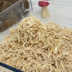 Può includere: Un contenitore rettangolare trasparente pieno di trucioli di legno marrone chiaro. Sullo sfondo è visibile un piccolo fungo decorativo con un cappello rosso e un gambo beige. I trucioli di legno sembrano essere per un habitat per animali domestici o un progetto artigianale.