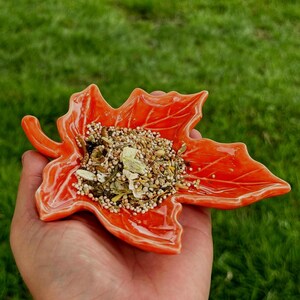 May include: A vibrant orange ceramic leaf-shaped bowl filled with birdseed. The bowl is held in a hand, set against a green grassy background. The leaf design features detailed veining and a glossy finish, creating a natural look.