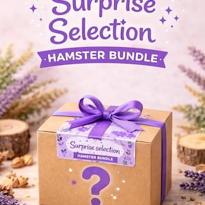 Op de afbeelding: Een bruine kartonnen doos vastgebonden met een paars lint en strik. De doos heeft een sticker met de tekst "Surprise Selection Hamster Bundle" en een groot paars vraagteken. De achtergrond bevat lavendel en houten schijfjes.