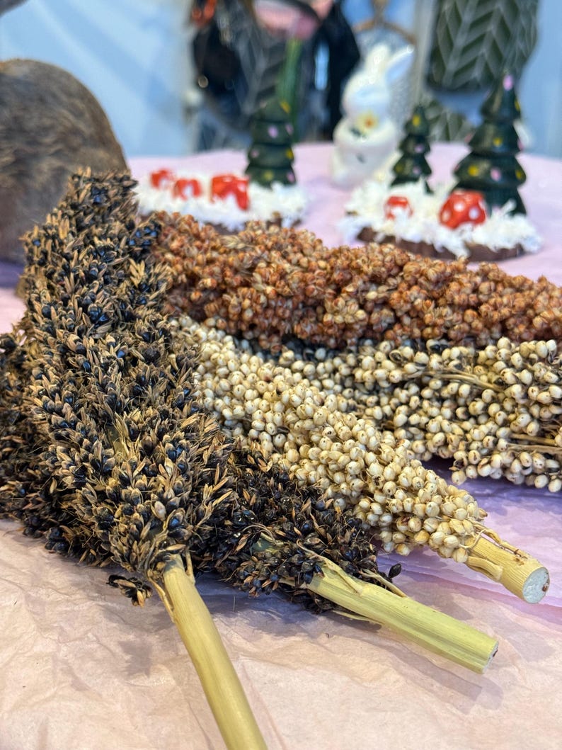 May include: Close-up of three bundles of dried sorghum, showcasing variations in color from dark brown to beige. The stems are a pale yellow. In the background, small ceramic Christmas trees and a bunny are visible, suggesting a seasonal theme.