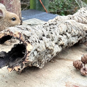 Può includere: Un pezzo di corteccia di sughero invecchiata e scavata, con una superficie ruvida e strutturata. La corteccia è marrone chiaro e grigia, con un interno scuro. Sono visibili anche una piccola statuina di coniglio marrone e diverse piccole pigne.