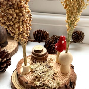 Può includere: Un'esposizione rustica in legno con una base in legno naturale, adornata con composizioni floreali secche, funghi in legno in miniatura e una pila di rondelle di legno. La scena comprende pigne e muschio, creando un tema boschivo.