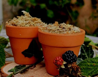 Mini Moos Schnüffeltopf: Terrakotta Hamster Bereicherung Spielzeug