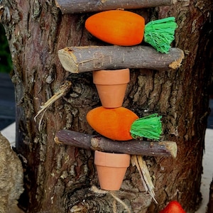 Può includere: Una struttura in legno stravagante a forma di scala, con decorazioni di carote arancioni con cime verdi, piccoli vasi di terracotta e rami di legno. La struttura è ambientata contro un tronco d'albero strutturato, con un fungo e una piccola statuina di animale.