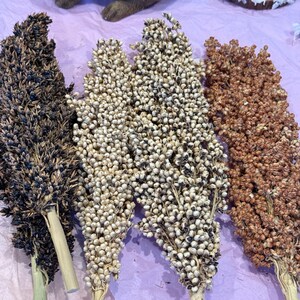 May include: Four bundles of dried sorghum in varying shades of brown, tan, and black. The sorghum heads are dense with small, round seeds, and the stems are a light beige color. The background is a light purple surface.