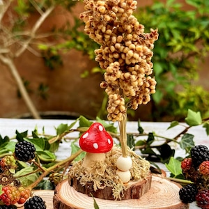 Puede incluir: Una caprichosa figura de hongo en miniatura con una gorra roja y lunares blancos, colocada sobre una base de madera con musgo y una planta decorativa. Las moras y la vegetación rodean la exhibición, creando una estética natural y de cuento de hadas.
