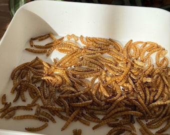 Dried Mealworms For Small Animals, Birds, Hamster Treats