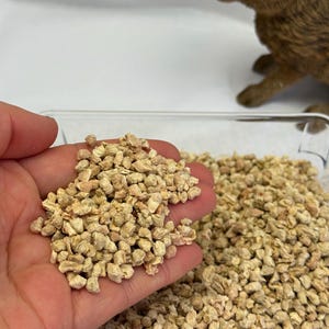 Sustrato para hámster Corncob Granuels: material natural para excavar