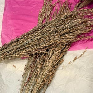 Puede incluir: Espigas de trigo secas, en tonos marrones y beige, dispuestas en manojos. El trigo se encuentra sobre papel de seda rosa y una superficie blanca. La imagen muestra la textura natural y las variaciones de color del trigo, para decoración o manualidades.