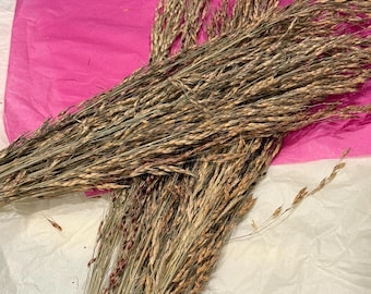 Organic Delicha Grass Sprays For Hamsters