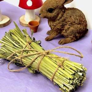 Könnte beinhalten: Ein Bündel getrocknetes grünes Gras, mit Bindfaden gebunden, auf einer lila Oberfläche präsentiert. Eine braune Kaninchenfigur und eine rot-weiße Pilzdekoration befinden sich im Hintergrund. Ein kleiner Terrakotta-Topf ist ebenfalls zu sehen.