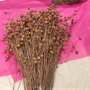 Flax Sprays Forage For Hamsters, Birds, Gerbils