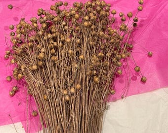 Spray de lino para hámsters, pájaros y jerbos