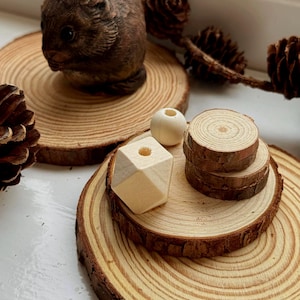 May include: A collection of natural wood elements, including a brown squirrel figurine, wood slices, small wooden beads, and pine cones. The wood slices vary in size and have visible growth rings. The items are arranged on a white surface.