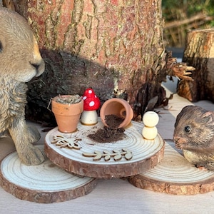 Può includere: Una stravagante scena di giardino fatato con un coniglio marrone e una piccola statuina di roditore. Piccoli vasi di terracotta, un fungo rosso e bianco e dettagli in legno sono disposti su fette di legno, creando un'affascinante esposizione boschiva.