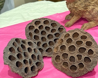 Lotus Pods-verrijking voor hamsters en gerbils