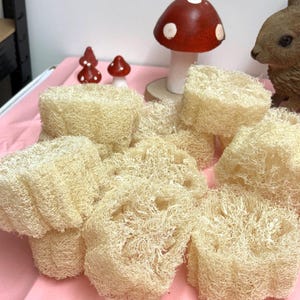 Può includere: Una collezione di spugne di luffa naturali, beige, disposte su una superficie rosa. Sullo sfondo, statuine decorative a forma di fungo e una statuetta di coniglio. Le luffa hanno un aspetto strutturato e poroso, che suggerisce il loro utilizzo per l'esfoliazione o la pulizia.