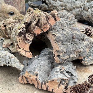 May include: Close-up of several pieces of natural cork bark, showcasing a mix of gray, brown, and tan hues. The bark has a rough, textured surface with visible patterns and holes. Some pieces have a tunnel-like opening. Pine cones are scattered around the bark.