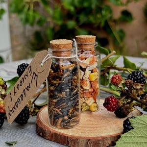 Mini Glass Treat Jar: Hamster, Rabbit, Guinea Pig Treats