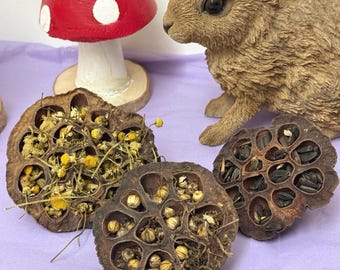 Stuffed Lotus Pods Enrichment For Hamsters & Gerbils