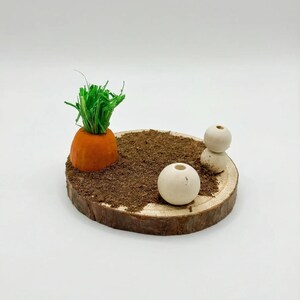 Carrot Patch Coco Soil Hamstersprayhouder