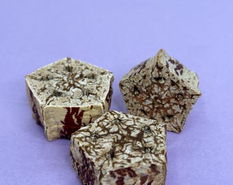 Vainas de fruta de caoba, enriquecimiento ambiental para animales pequeños