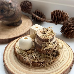 May include: A rustic display featuring a wooden hamster figurine, wood slices, and natural elements. The arrangement includes a small wooden cube, a white sphere, and a stack of wood rounds covered in moss, creating a woodland theme.