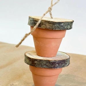 Hanging Foraging Pots & Wood Slices, Veg Hiding Toy For Rabbits, Guineapigs and Small Animals