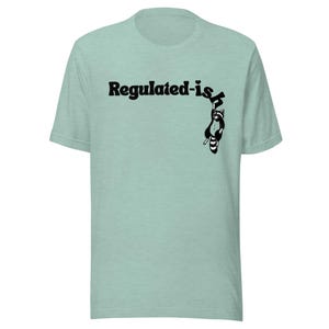 Regulated-ish Raccoon Graphic Tee: Funny Mental Health Shirt