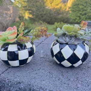 Lindo arranjo de abóboras da Mackenzie Childs com suculentas artificiais, 11,4 cm (conjunto de 2). imagem 6