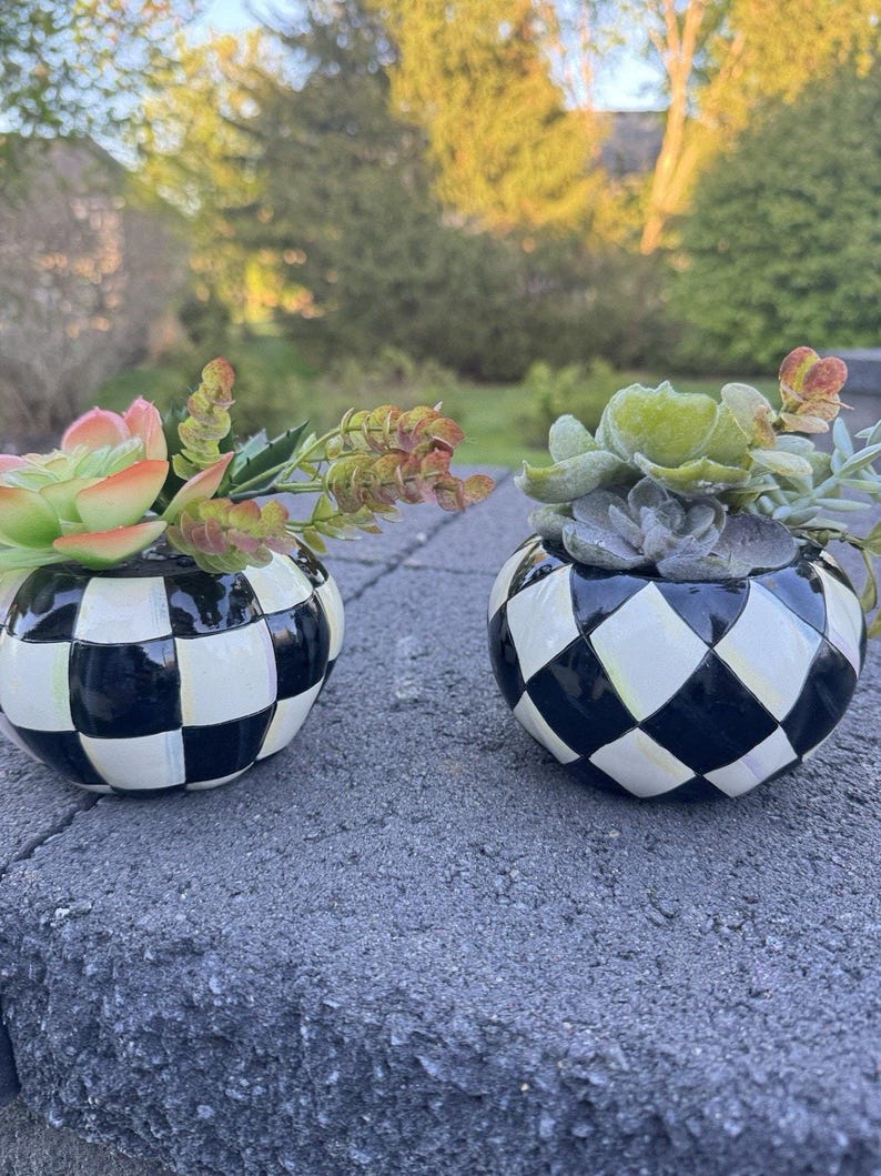 Lindo arranjo de abóboras da Mackenzie Childs com suculentas artificiais, 11,4 cm (conjunto de 2). imagem 6