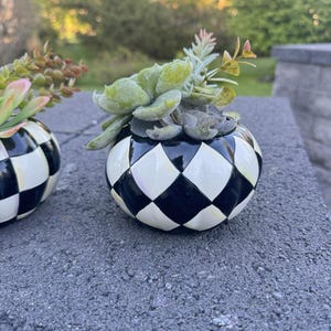 Lindo arranjo de abóboras da Mackenzie Childs com suculentas artificiais, 11,4 cm (conjunto de 2). imagem 3