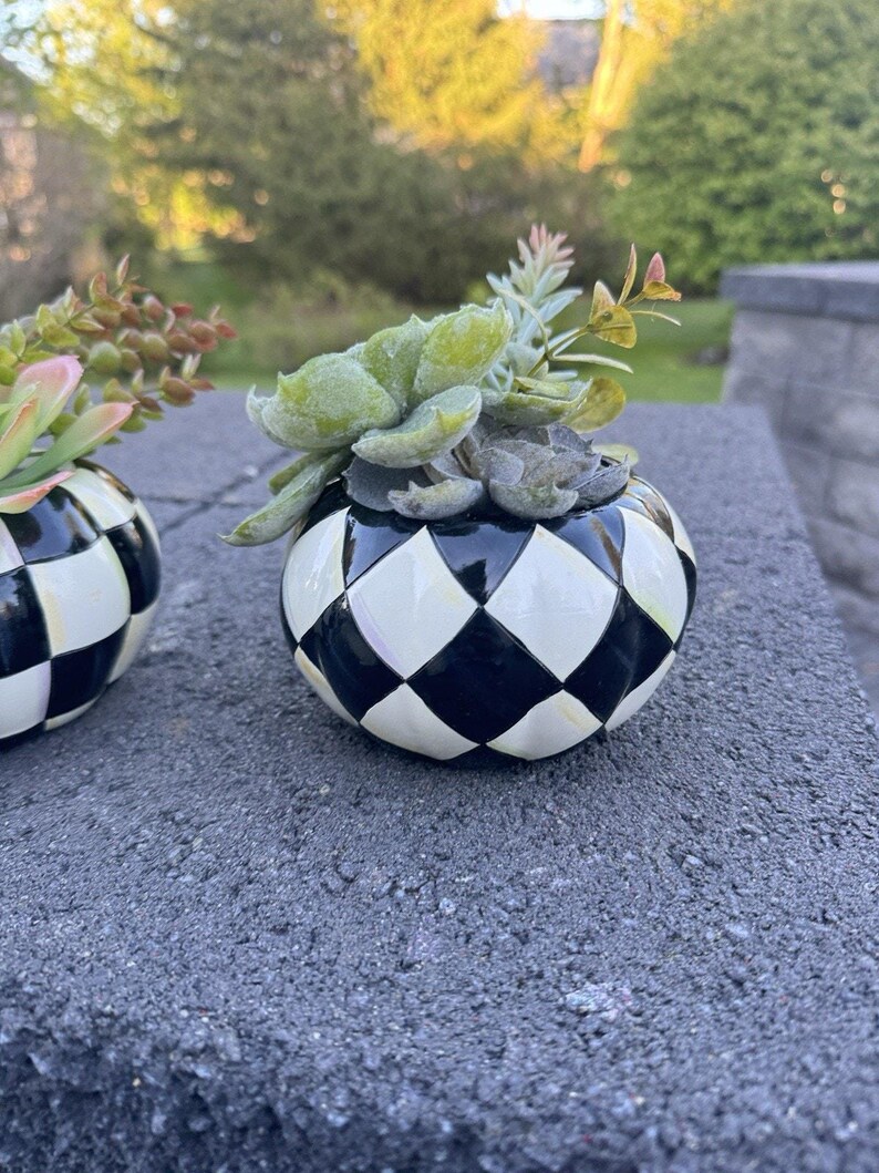 Lindo arranjo de abóboras da Mackenzie Childs com suculentas artificiais, 11,4 cm (conjunto de 2). imagem 3
