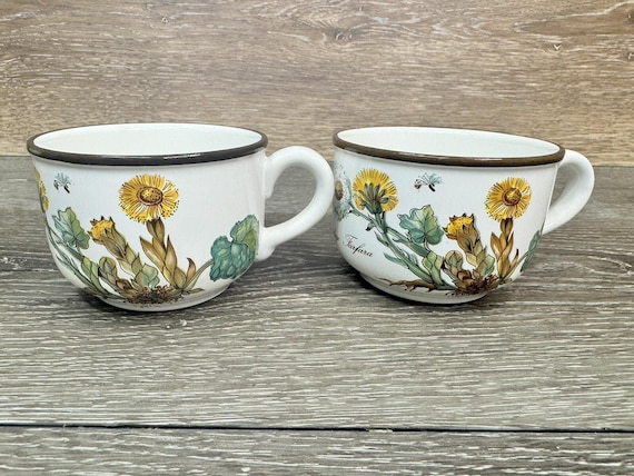 Vintage Villeroy & Boch Botanica Made in Luxembourg Vitro Porzellan ~ 2er Set