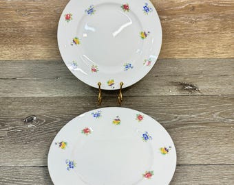 CROWN STAFFORDSHIRE Floral Bouquet 8 1/4" Salad Plate Set of 2