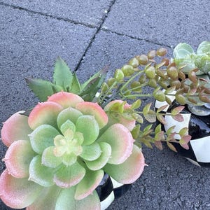 Lindo arranjo de abóboras da Mackenzie Childs com suculentas artificiais, 11,4 cm (conjunto de 2). imagem 10