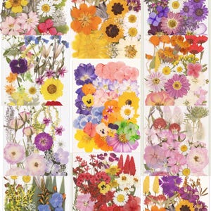 Op de afbeelding: Een witte keramische mok met een zwart handvat en de tekst "But First, Coffee" in een vetgedrukte, zwarte letter. De mok staat tegen een wazige achtergrond, wat een gezellige omgeving suggereert.