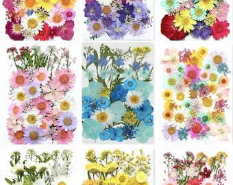 Pressed Dried Flowers, Natural Botanical Set, DIY Craft Supplies